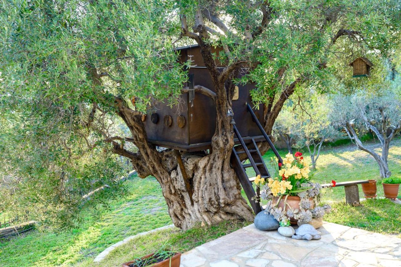 Kastri Treehouse Apartment นิกิติ ภายนอก รูปภาพ