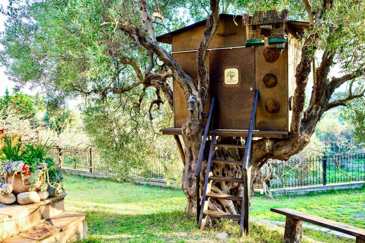 Kastri Treehouse Apartment นิกิติ ภายนอก รูปภาพ